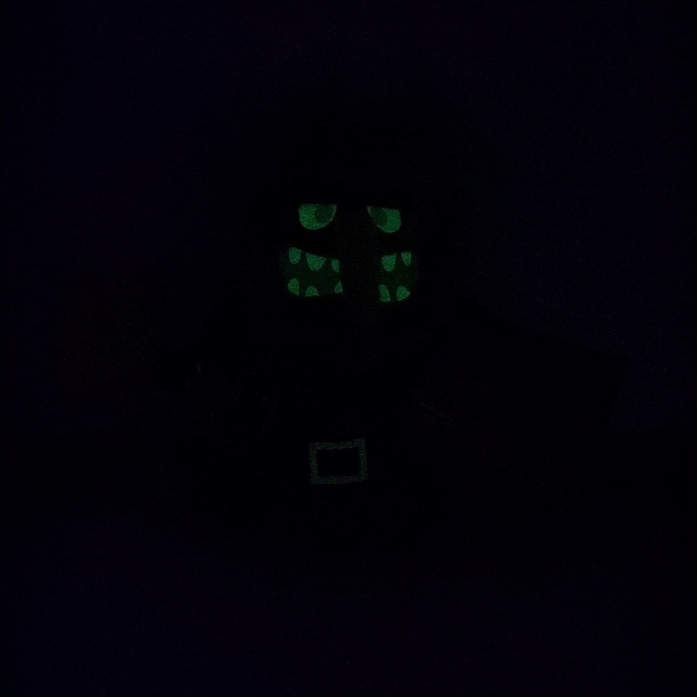 ♥️BNWT♥️ The Flying Dutchman Glow In The Dark Plush, Spongebob The Movie - Picture 7 of 8